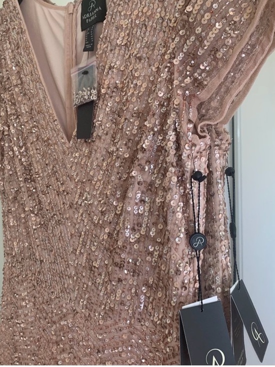 Adrianna Papell Dresses & Skirts - Adrianna Papell Blush Sequin V-Neck Evening Dress, size 14